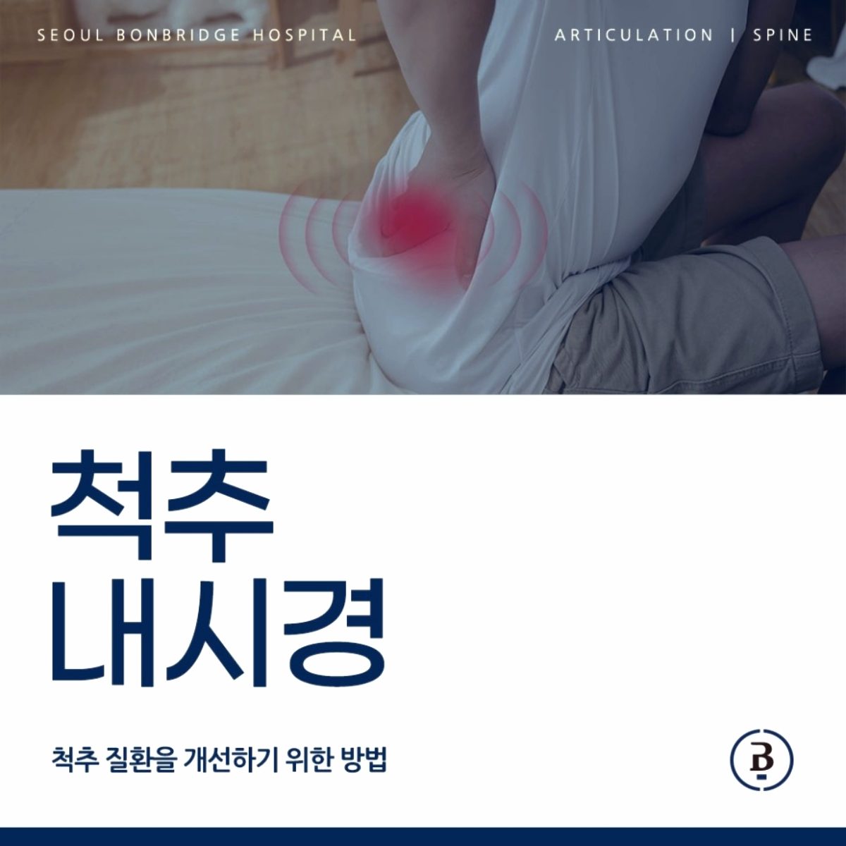 양방향 척추내시경