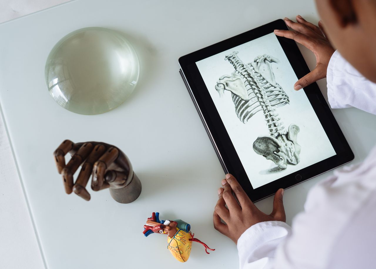 From above of crop student wearing lab coat and studying human skeleton and tissue while surfing tablet at table in science center