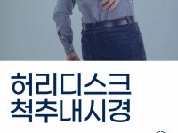 허리디스크 척추내시경